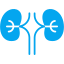 Nephrology